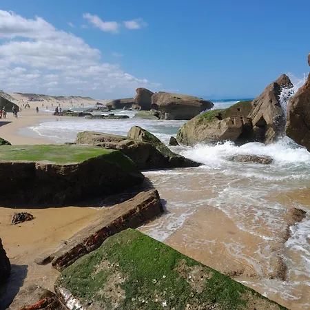 Joli 2 Pièces Sur Le Port Avec Piscine, Terrasse, Parking Capbreton