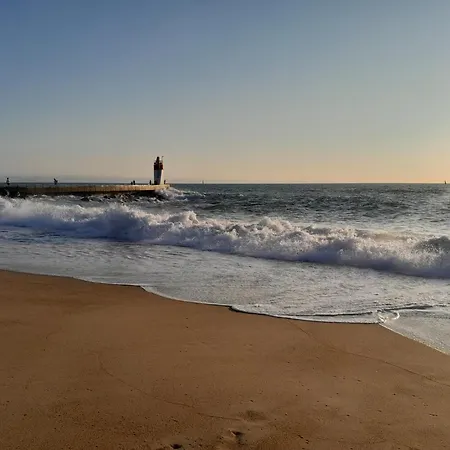 Appartement Bleu Ocean - Sur Le Port Avec Piscine, Terrasse, Parking Capbreton